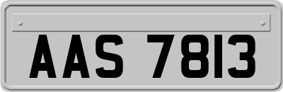 AAS7813