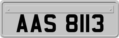 AAS8113