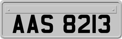AAS8213