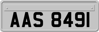 AAS8491