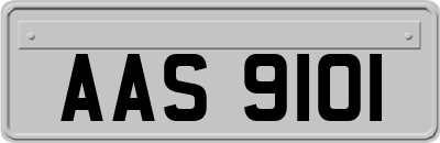 AAS9101