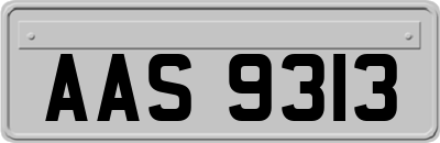 AAS9313