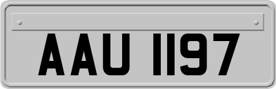 AAU1197