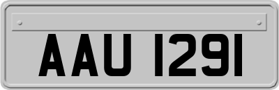 AAU1291