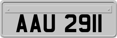AAU2911