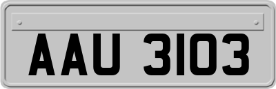 AAU3103