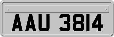 AAU3814