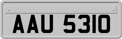 AAU5310