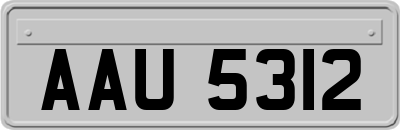 AAU5312