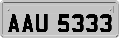 AAU5333