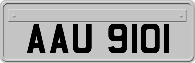 AAU9101
