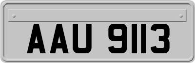AAU9113