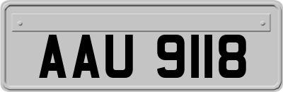 AAU9118