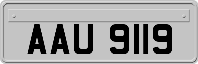 AAU9119