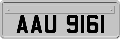 AAU9161