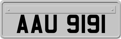 AAU9191