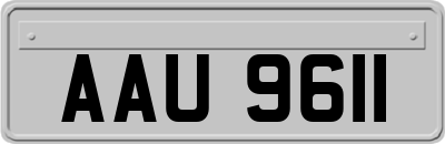 AAU9611