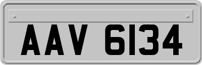 AAV6134