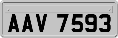 AAV7593