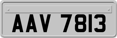 AAV7813