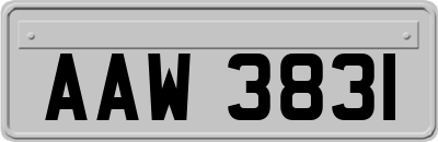 AAW3831