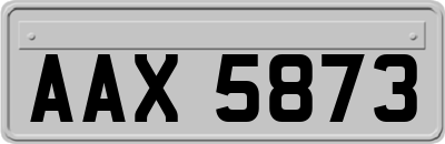 AAX5873