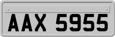 AAX5955