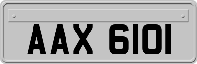 AAX6101