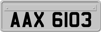 AAX6103