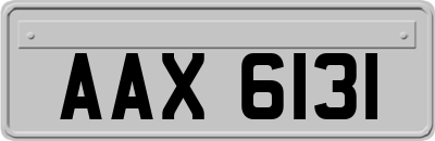 AAX6131
