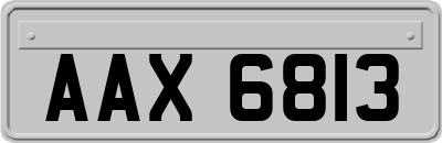 AAX6813