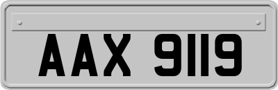AAX9119