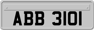 ABB3101