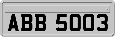 ABB5003