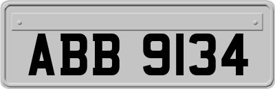 ABB9134