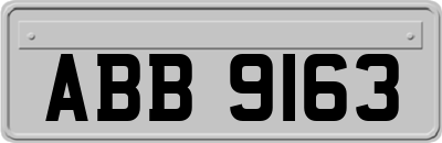 ABB9163