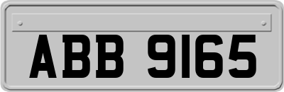 ABB9165