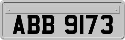 ABB9173