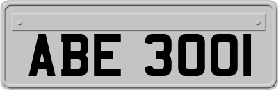ABE3001