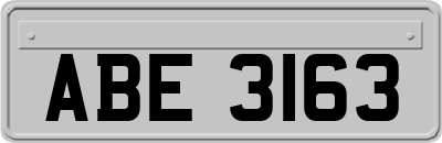 ABE3163
