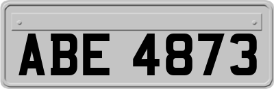 ABE4873