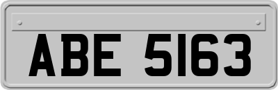 ABE5163
