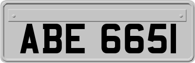 ABE6651
