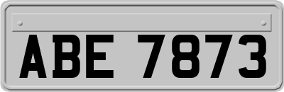 ABE7873
