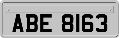 ABE8163