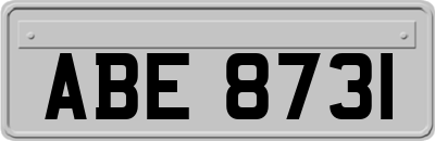 ABE8731