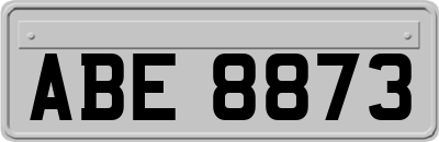 ABE8873