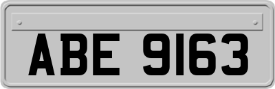 ABE9163