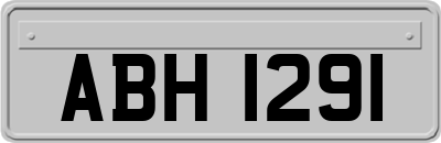 ABH1291