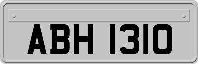 ABH1310